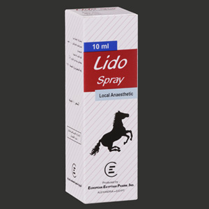 LIDO 40 MG / 1 ML SPRAY 10 ML ليدو 40 مجم / 1 مل بخاخ 10 مل