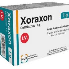 XORAXON 1 GM I.V. 1 VIAL
